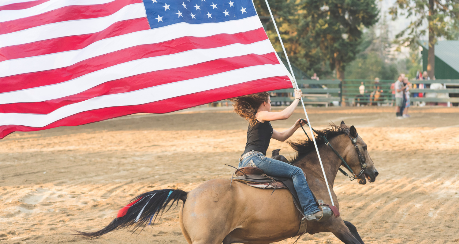 equine therapy, horse therapy, equine, horse