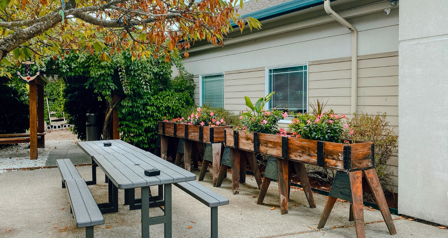 Lacey Washington, Lacey WA, Washington, WA