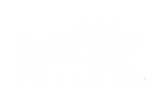 18.png